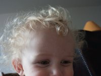 IMG 8862
