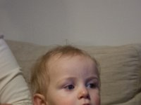 IMG 8482