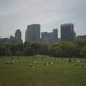 IMAG0181